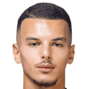 巴德雷丁·布瓦纳尼