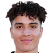 大卫·亚历山德罗·莱尔·科斯塔